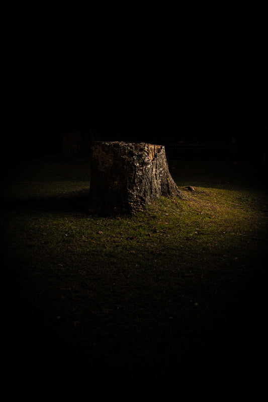 Nachtstronk - Fine Art Print