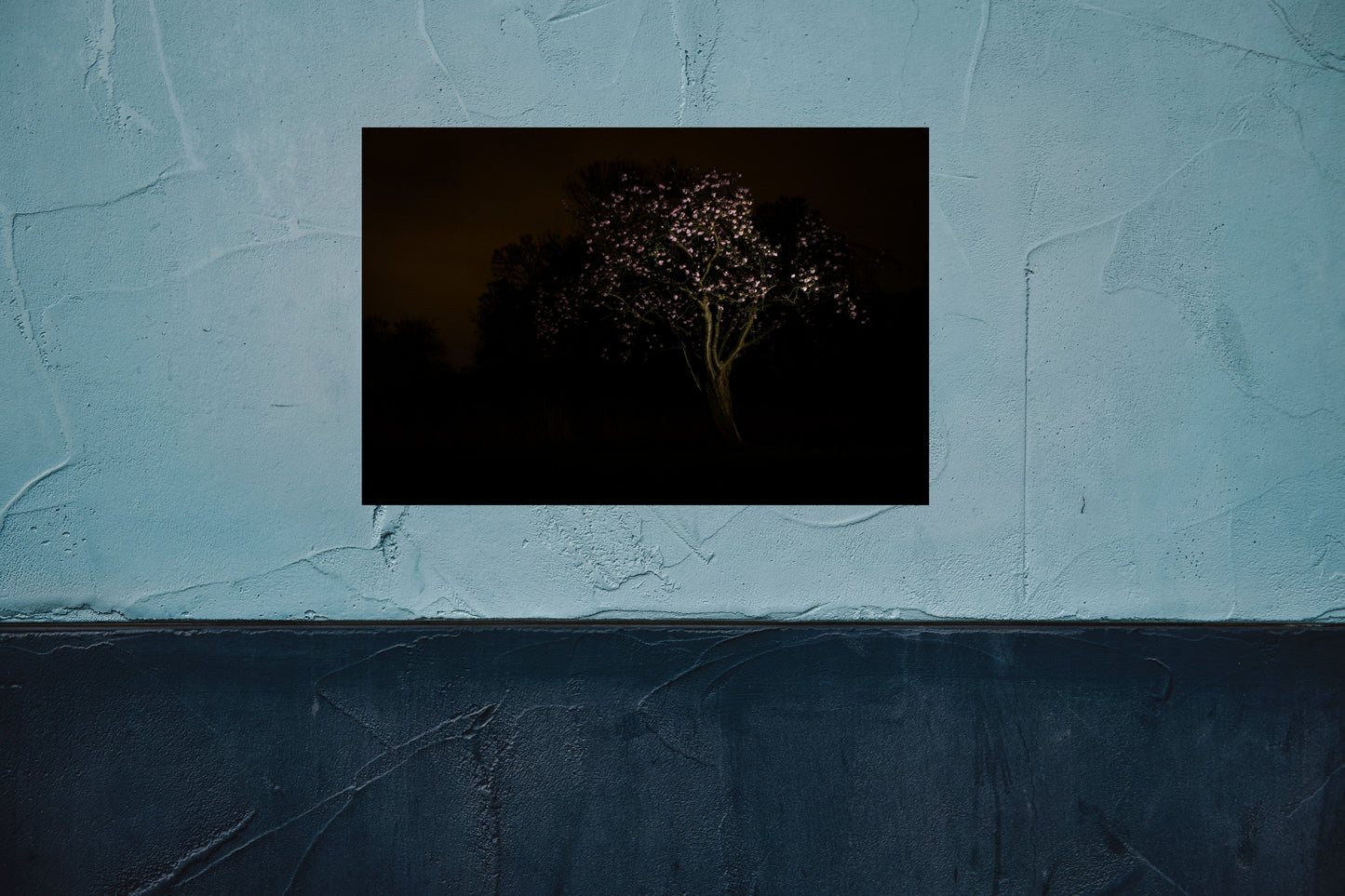 Nachtbloesem Roze - Fine Art Print